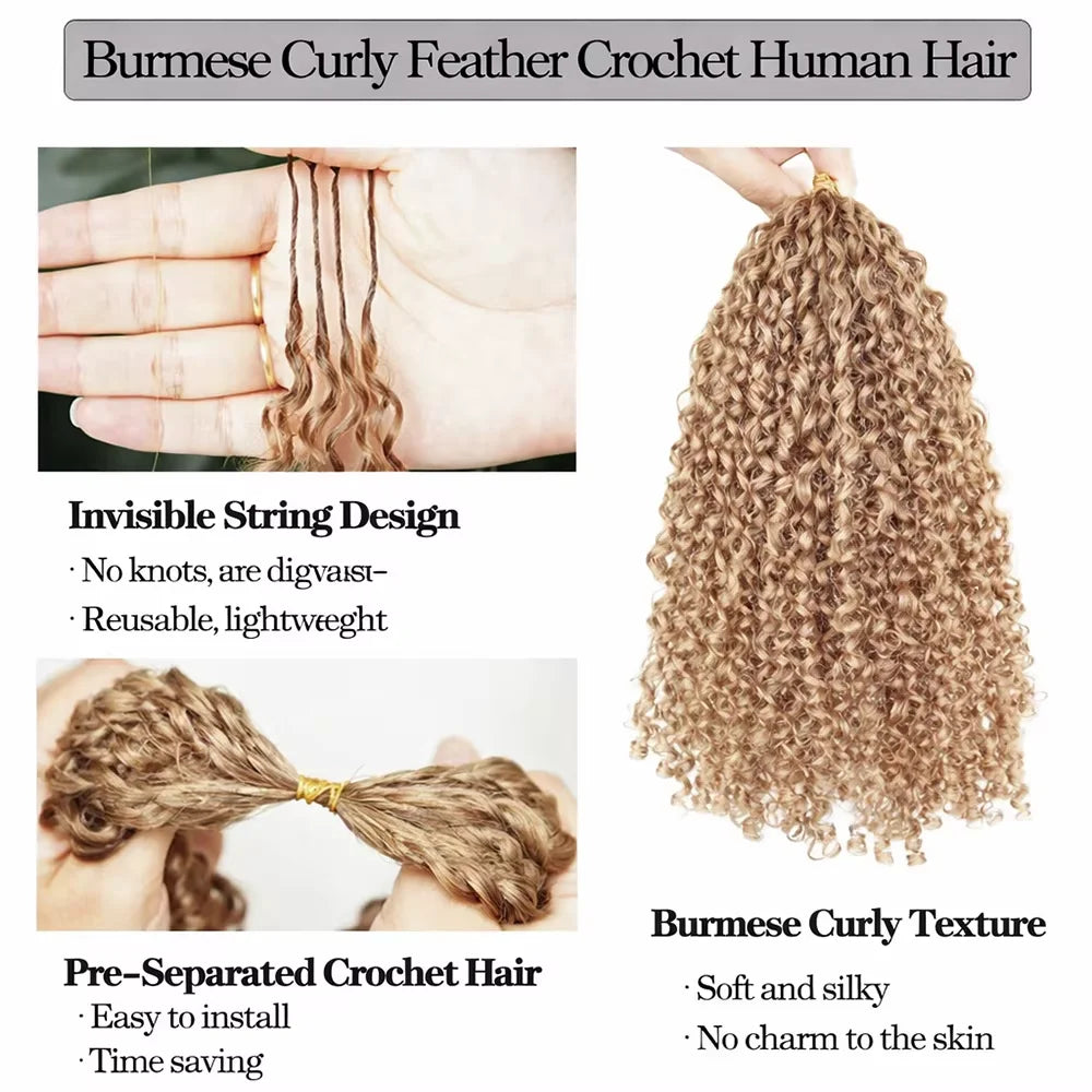 Honey Blonde Burmese Curly Human Hair Feather Crochet